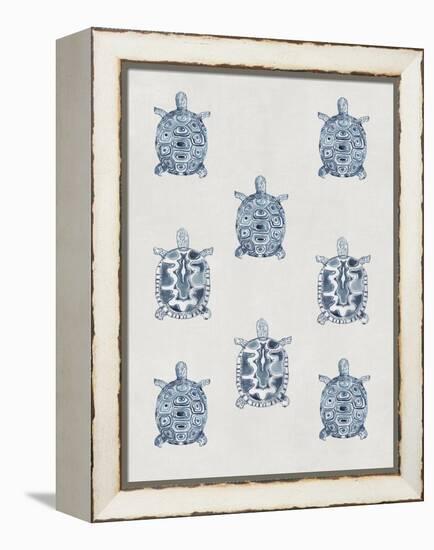 Indigo Turtles-Aimee Wilson-Framed Stretched Canvas