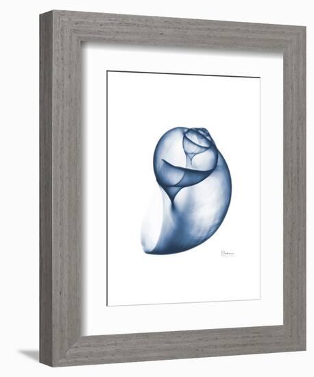 Indigo Water Snail-Albert Koetsier-Framed Art Print