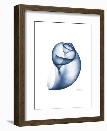 Indigo Water Snail-Albert Koetsier-Framed Art Print