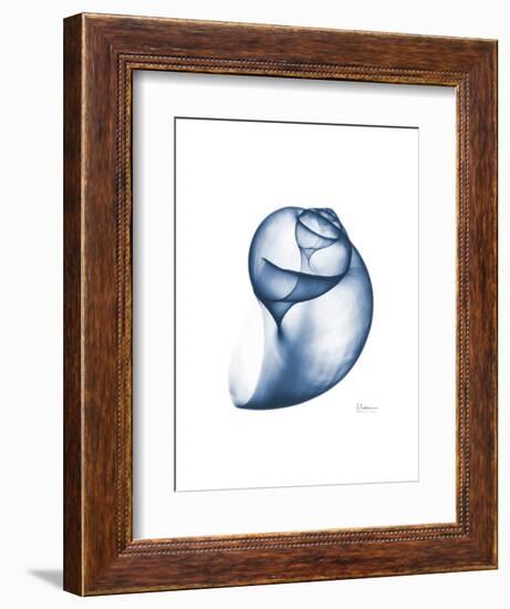 Indigo Water Snail-Albert Koetsier-Framed Art Print