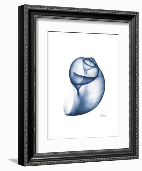 Indigo Water Snail-Albert Koetsier-Framed Art Print