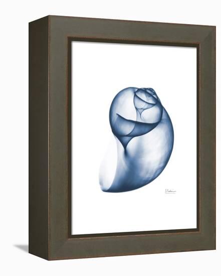 Indigo Water Snail-Albert Koetsier-Framed Stretched Canvas