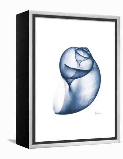 Indigo Water Snail-Albert Koetsier-Framed Stretched Canvas