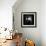 Indigobird-Craig Roberts-Framed Photographic Print displayed on a wall