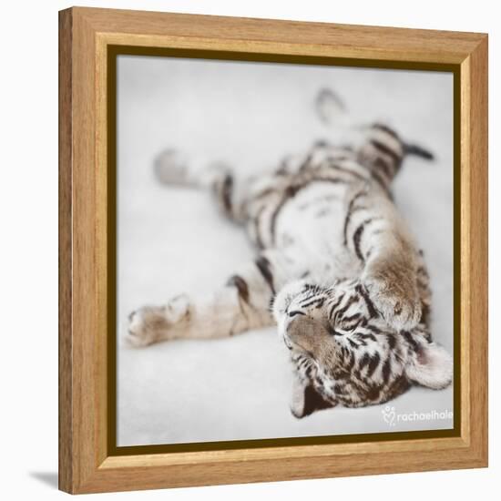 Indira-Rachael Hale-Framed Stretched Canvas