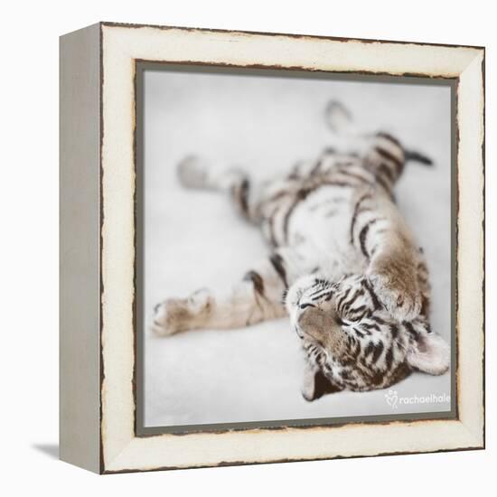 Indira-Rachael Hale-Framed Stretched Canvas