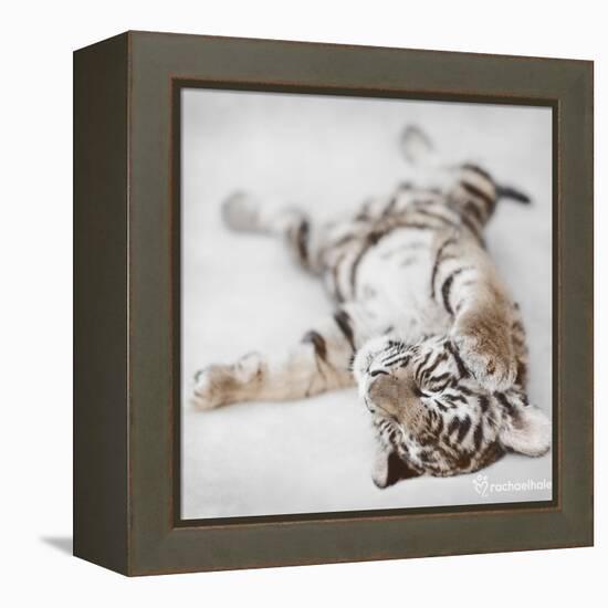 Indira-Rachael Hale-Framed Stretched Canvas