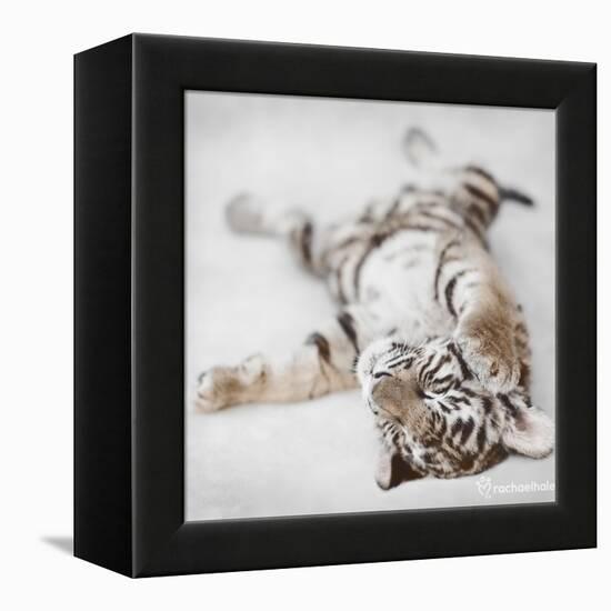 Indira-Rachael Hale-Framed Stretched Canvas