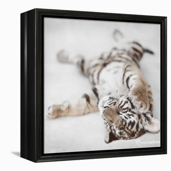 Indira-Rachael Hale-Framed Stretched Canvas