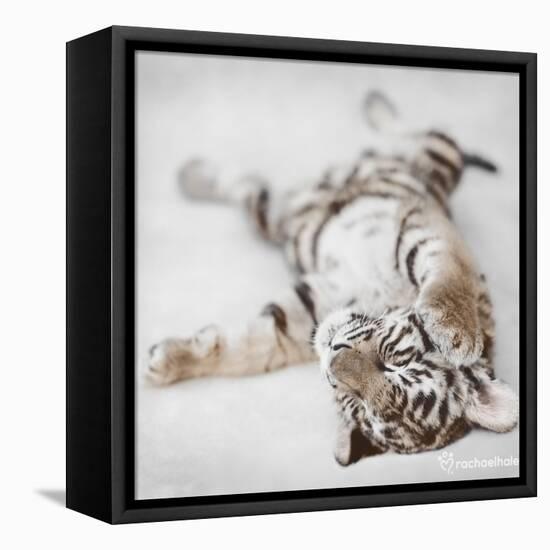 Indira-Rachael Hale-Framed Stretched Canvas