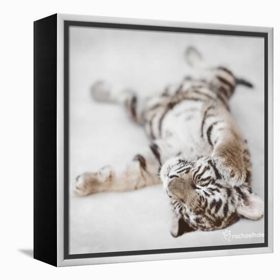 Indira-Rachael Hale-Framed Stretched Canvas