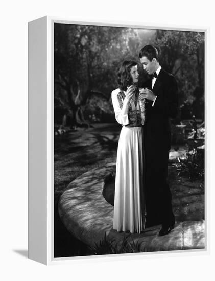 Indiscretions-null-Framed Stretched Canvas