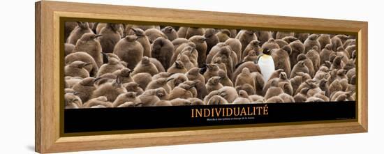 Individualité (French Translation)-null-Framed Stretched Canvas