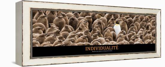 Individualité (French Translation)-null-Framed Stretched Canvas