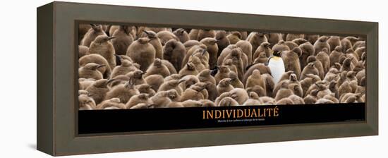 Individualité (French Translation)-null-Framed Stretched Canvas