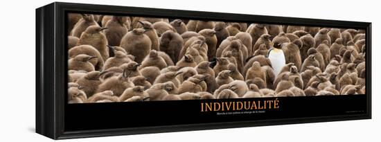 Individualité (French Translation)-null-Framed Stretched Canvas