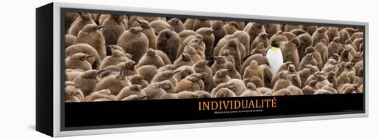 Individualité (French Translation)-null-Framed Stretched Canvas