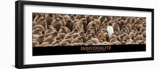Individualité (French Translation)--Framed Photo