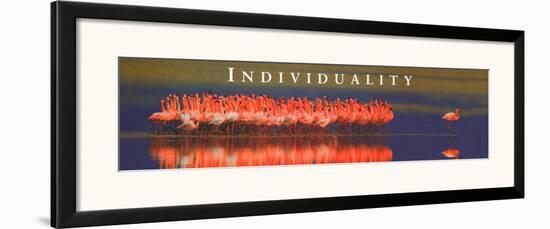 Individuality: Flamingos-null-Framed Art Print