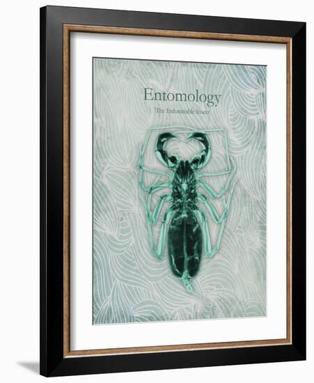 Indomitable Insect-Albert Koetsier-Framed Art Print