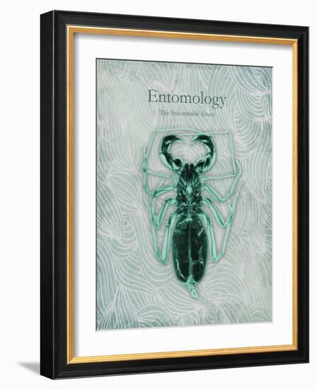 Indomitable Insect-Albert Koetsier-Framed Art Print