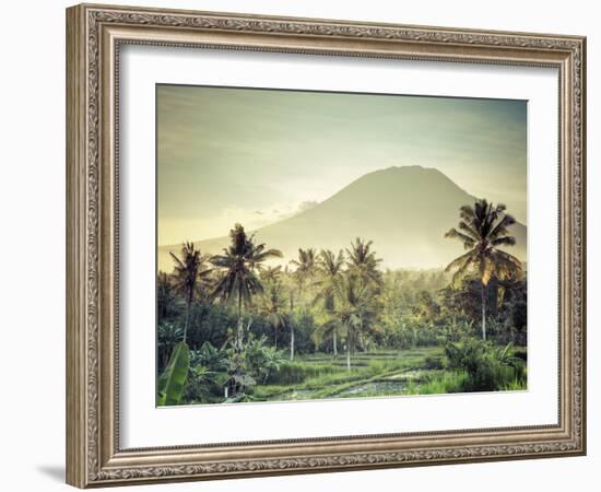 Indonesia, Bali, East Bali, Amlapura, Rice Fields and Gunung Agung Volcano-Michele Falzone-Framed Photographic Print