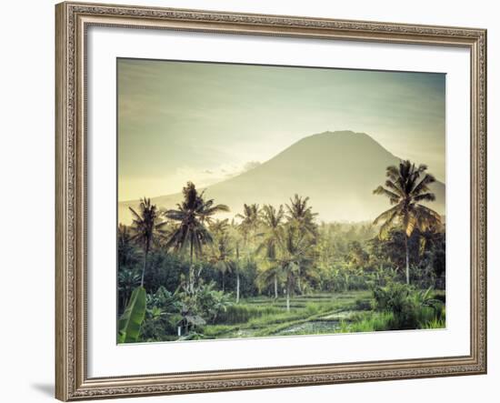 Indonesia, Bali, East Bali, Amlapura, Rice Fields and Gunung Agung Volcano-Michele Falzone-Framed Photographic Print