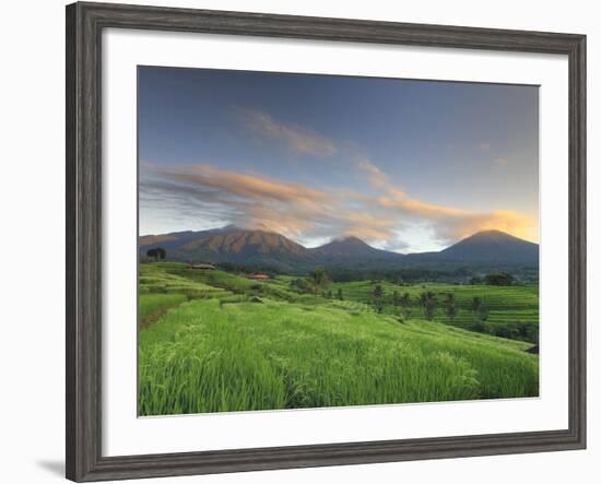 Indonesia, Bali, Jatiluwih Rice Fields With Mt Batukau, Mt Sangiyang and Mt. Pohen-Michele Falzone-Framed Photographic Print