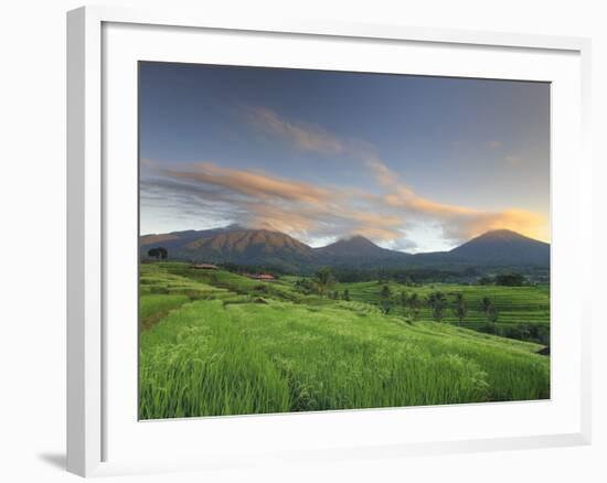 Indonesia, Bali, Jatiluwih Rice Fields With Mt Batukau, Mt Sangiyang and Mt. Pohen-Michele Falzone-Framed Photographic Print