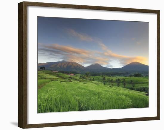 Indonesia, Bali, Jatiluwih Rice Fields With Mt Batukau, Mt Sangiyang and Mt. Pohen-Michele Falzone-Framed Photographic Print