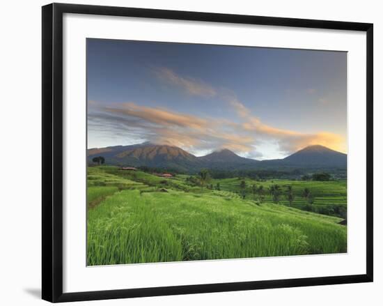 Indonesia, Bali, Jatiluwih Rice Fields With Mt Batukau, Mt Sangiyang and Mt. Pohen-Michele Falzone-Framed Photographic Print