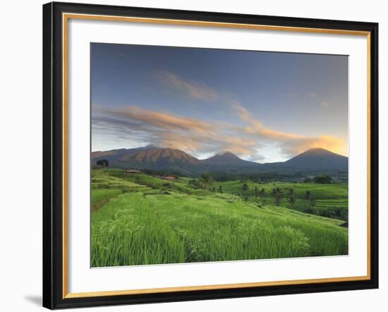 Indonesia, Bali, Jatiluwih Rice Fields With Mt Batukau, Mt Sangiyang and Mt. Pohen-Michele Falzone-Framed Photographic Print