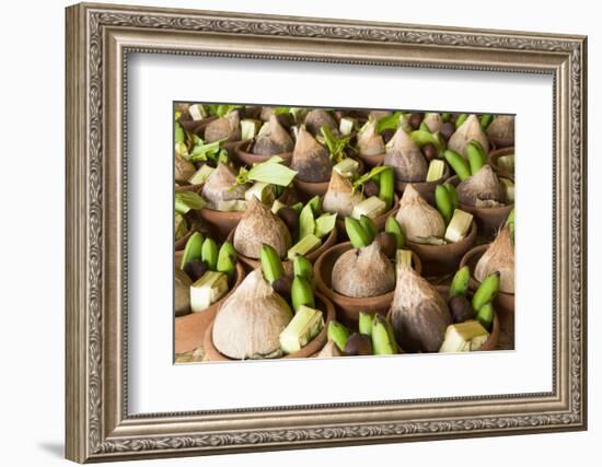 Indonesia, Bali. Offerings in a Bowl for Festivals on Bali Island-Emily Wilson-Framed Photographic Print