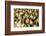 Indonesia, Bali. Offerings in a Bowl for Festivals on Bali Island-Emily Wilson-Framed Photographic Print