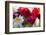 Indonesia, Bali. Outdoor Flower Market-Emily Wilson-Framed Photographic Print