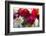 Indonesia, Bali. Outdoor Flower Market-Emily Wilson-Framed Photographic Print