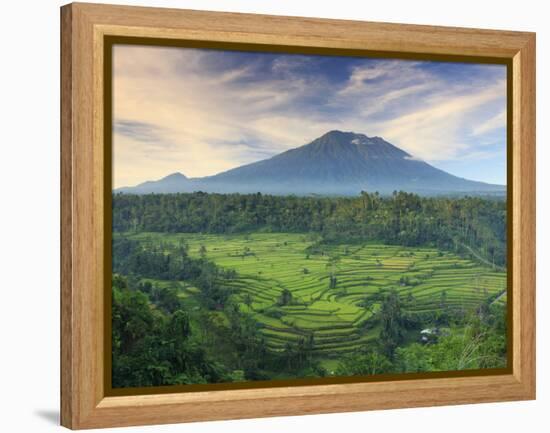 Indonesia, Bali, Redang, View of Rice Terraces and Gunung Agung Volcano-Michele Falzone-Framed Premier Image Canvas