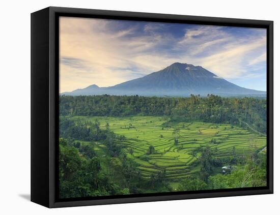 Indonesia, Bali, Redang, View of Rice Terraces and Gunung Agung Volcano-Michele Falzone-Framed Premier Image Canvas