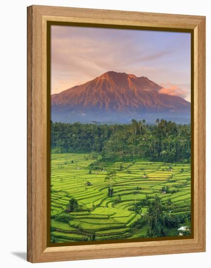 Indonesia, Bali, Redang, View of Rice Terraces and Gunung Agung Volcano-Michele Falzone-Framed Premier Image Canvas