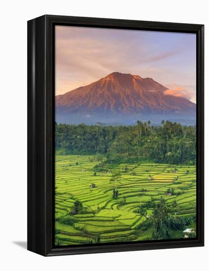 Indonesia, Bali, Redang, View of Rice Terraces and Gunung Agung Volcano-Michele Falzone-Framed Premier Image Canvas