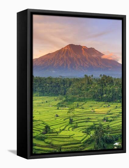 Indonesia, Bali, Redang, View of Rice Terraces and Gunung Agung Volcano-Michele Falzone-Framed Premier Image Canvas