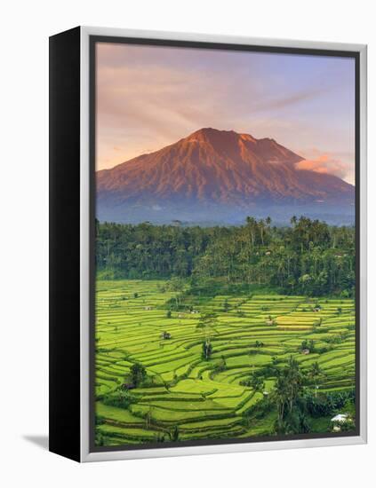 Indonesia, Bali, Redang, View of Rice Terraces and Gunung Agung Volcano-Michele Falzone-Framed Premier Image Canvas