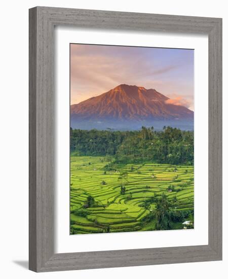 Indonesia, Bali, Redang, View of Rice Terraces and Gunung Agung Volcano-Michele Falzone-Framed Photographic Print