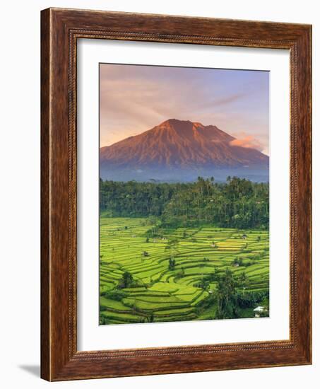 Indonesia, Bali, Redang, View of Rice Terraces and Gunung Agung Volcano-Michele Falzone-Framed Photographic Print