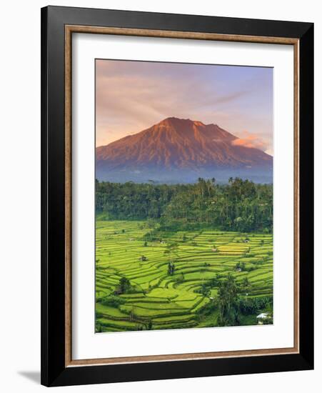 Indonesia, Bali, Redang, View of Rice Terraces and Gunung Agung Volcano-Michele Falzone-Framed Photographic Print