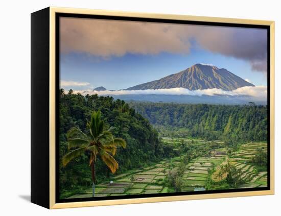 Indonesia, Bali, Rendang Rice Terraces and Gunung Agung Volcano-Michele Falzone-Framed Premier Image Canvas