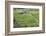 Indonesia, Bali. Terraced Subak Rice Fields of Bali Island, Indonesia-Emily Wilson-Framed Photographic Print