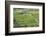 Indonesia, Bali. Terraced Subak Rice Fields of Bali Island, Indonesia-Emily Wilson-Framed Photographic Print