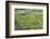 Indonesia, Bali. Terraced Subak Rice Fields of Bali Island, Indonesia-Emily Wilson-Framed Photographic Print