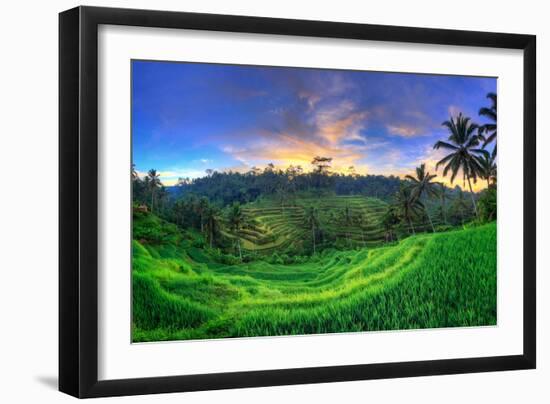 Indonesia, Bali, Ubud, Ceking Rice Terraces-Michele Falzone-Framed Photographic Print